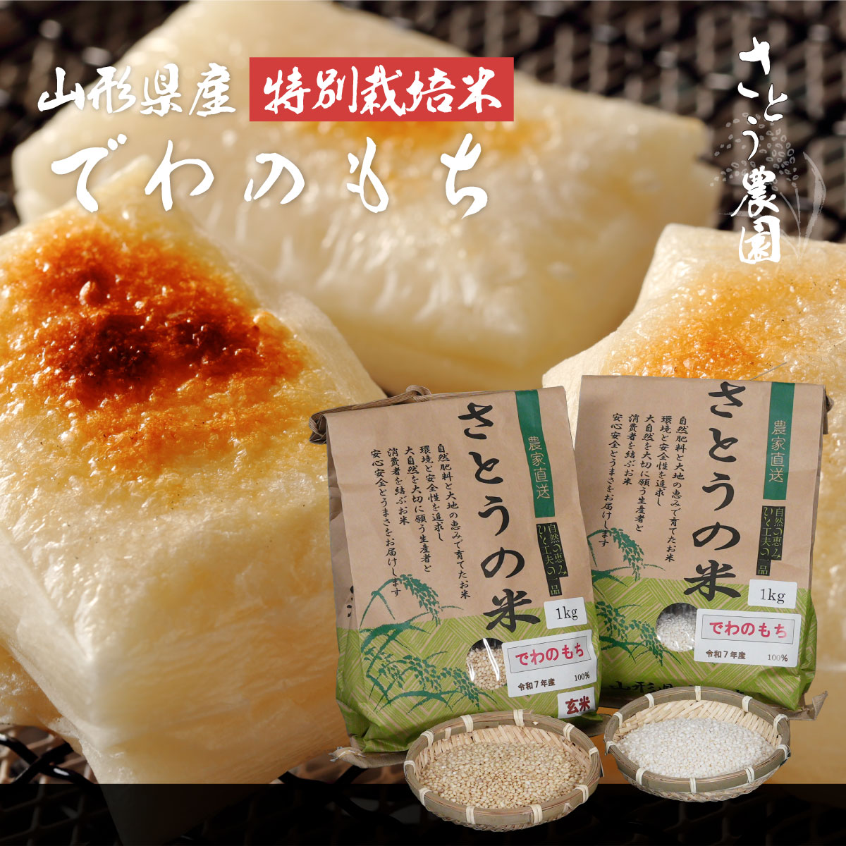 でわのもち【山形県庄内産】