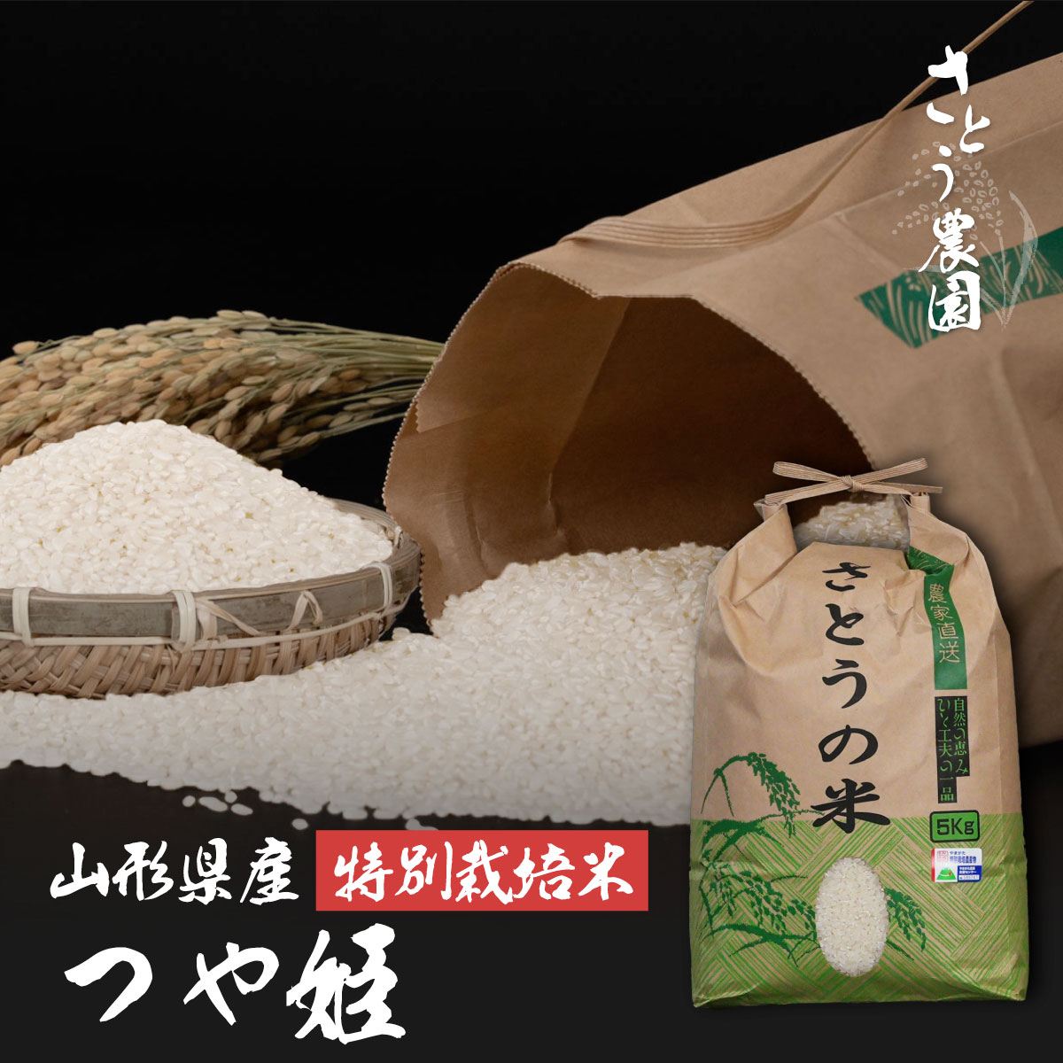 つや姫【令和7年 山形県庄内産】