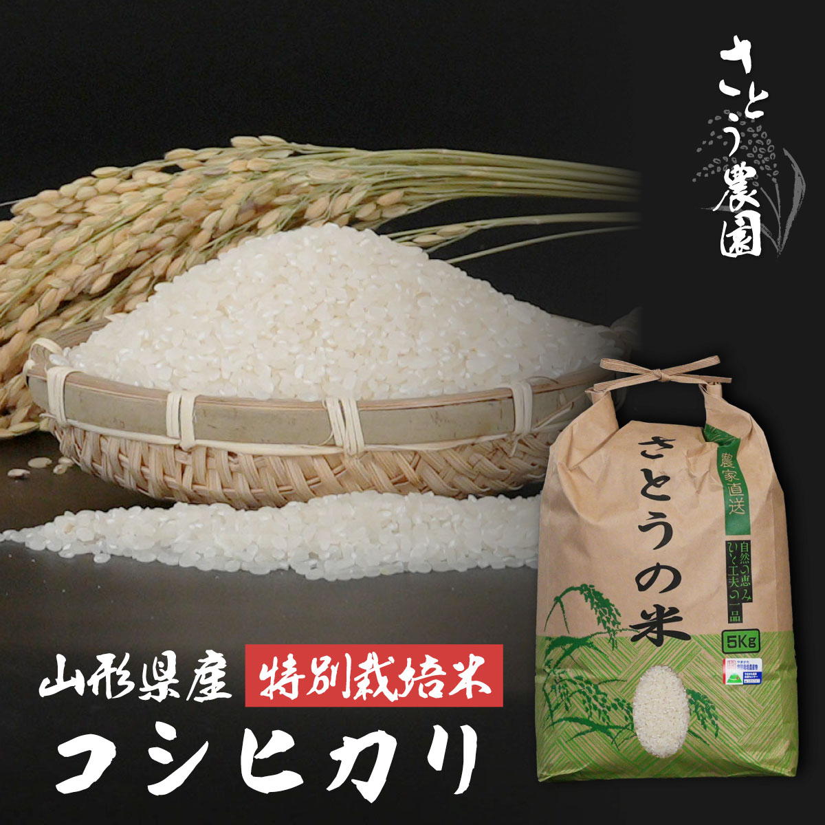 コシヒカリ【令和7年 山鹿県庄内産】