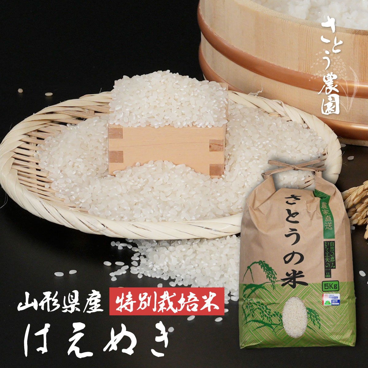 はえぬき【令和8年 山形県庄内産】