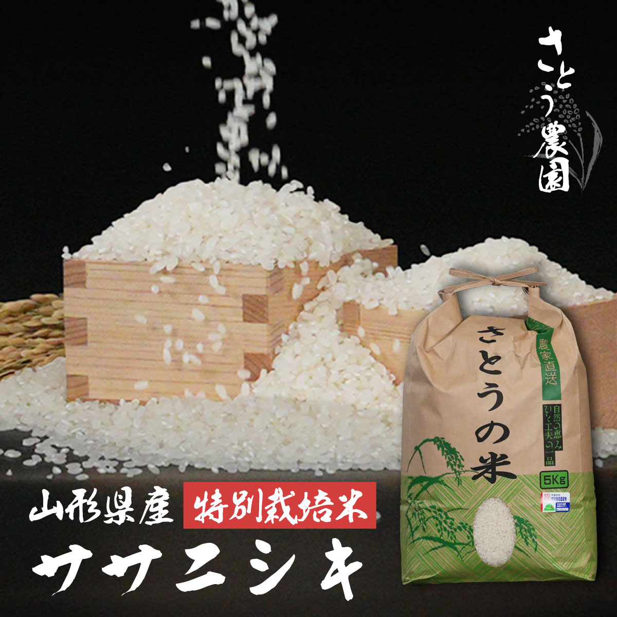 ササニシキ【令和８年 山形県産】
