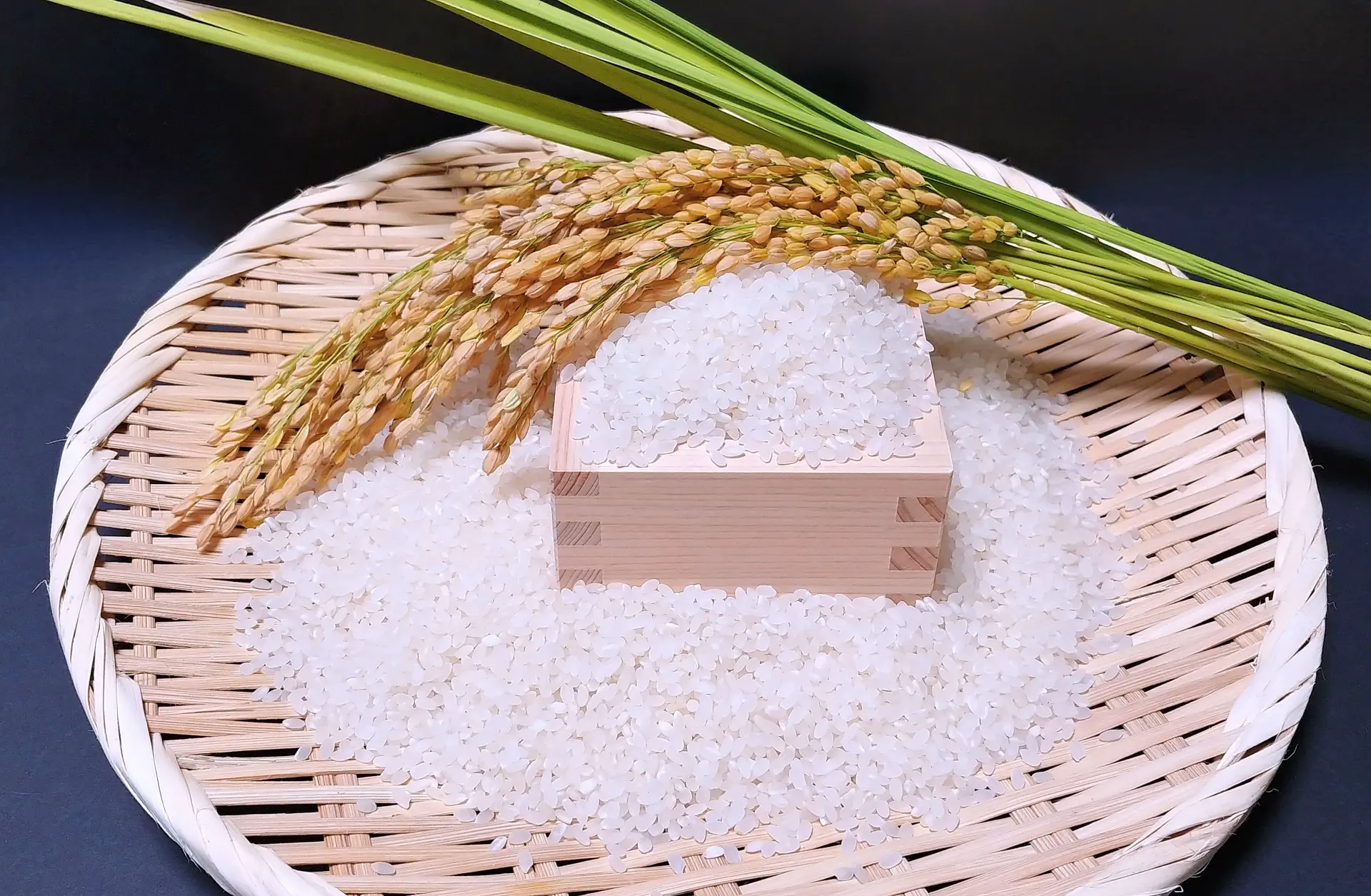 コシヒカリの特徴