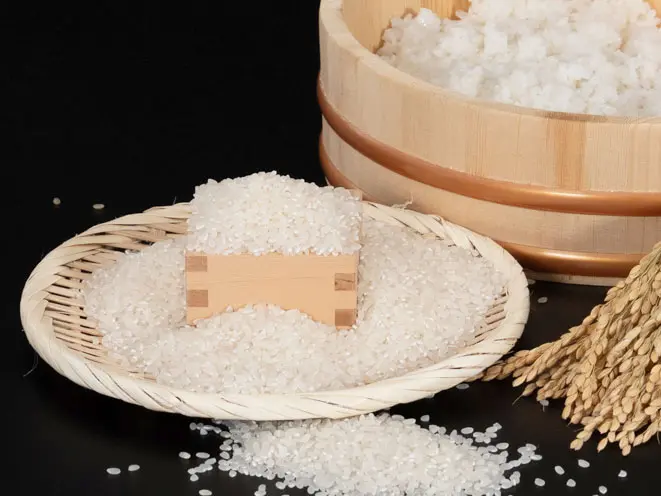 さとう農園で栽培しているコシヒカリ