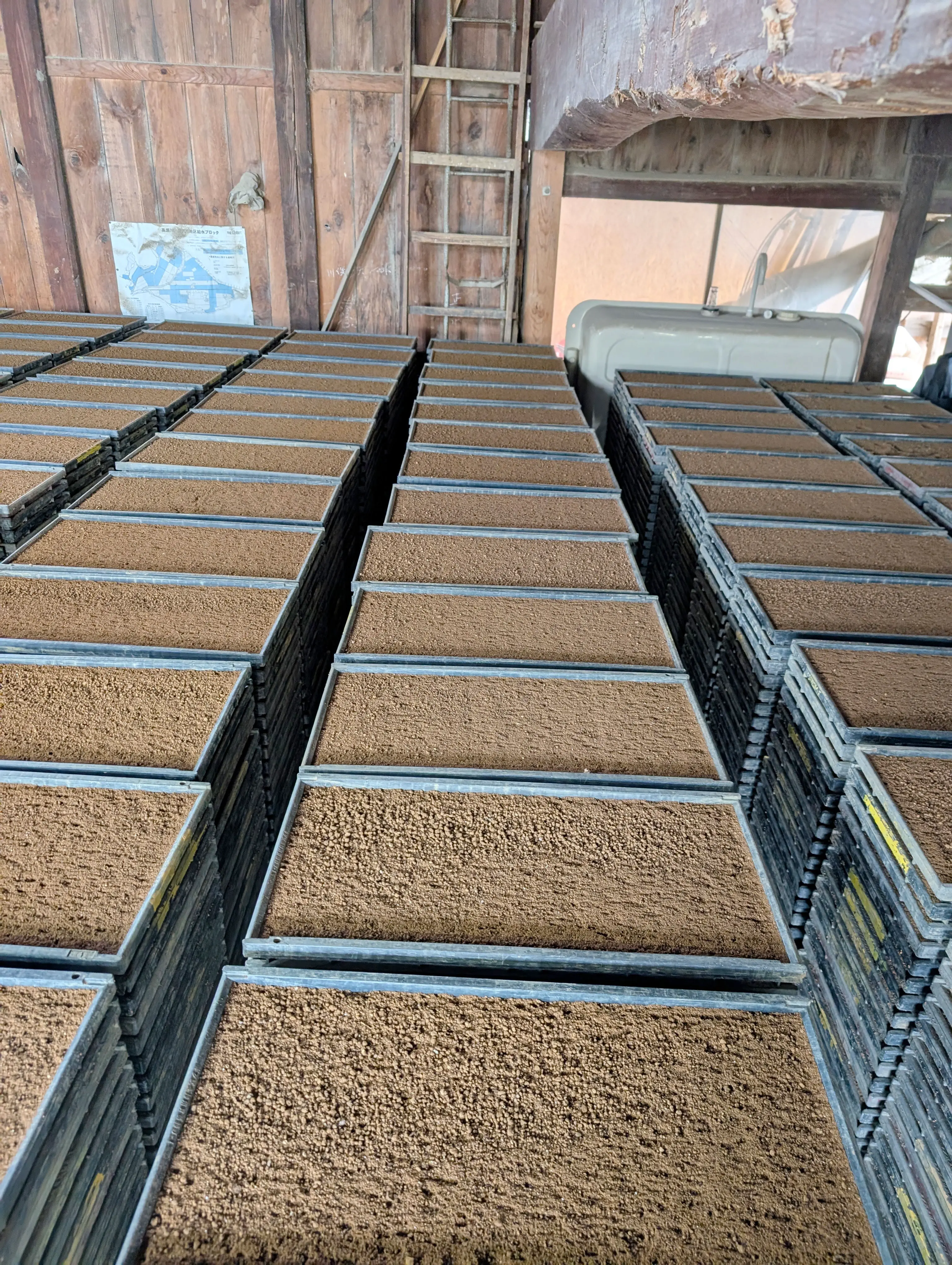 さとう農園の苗床準備の様子