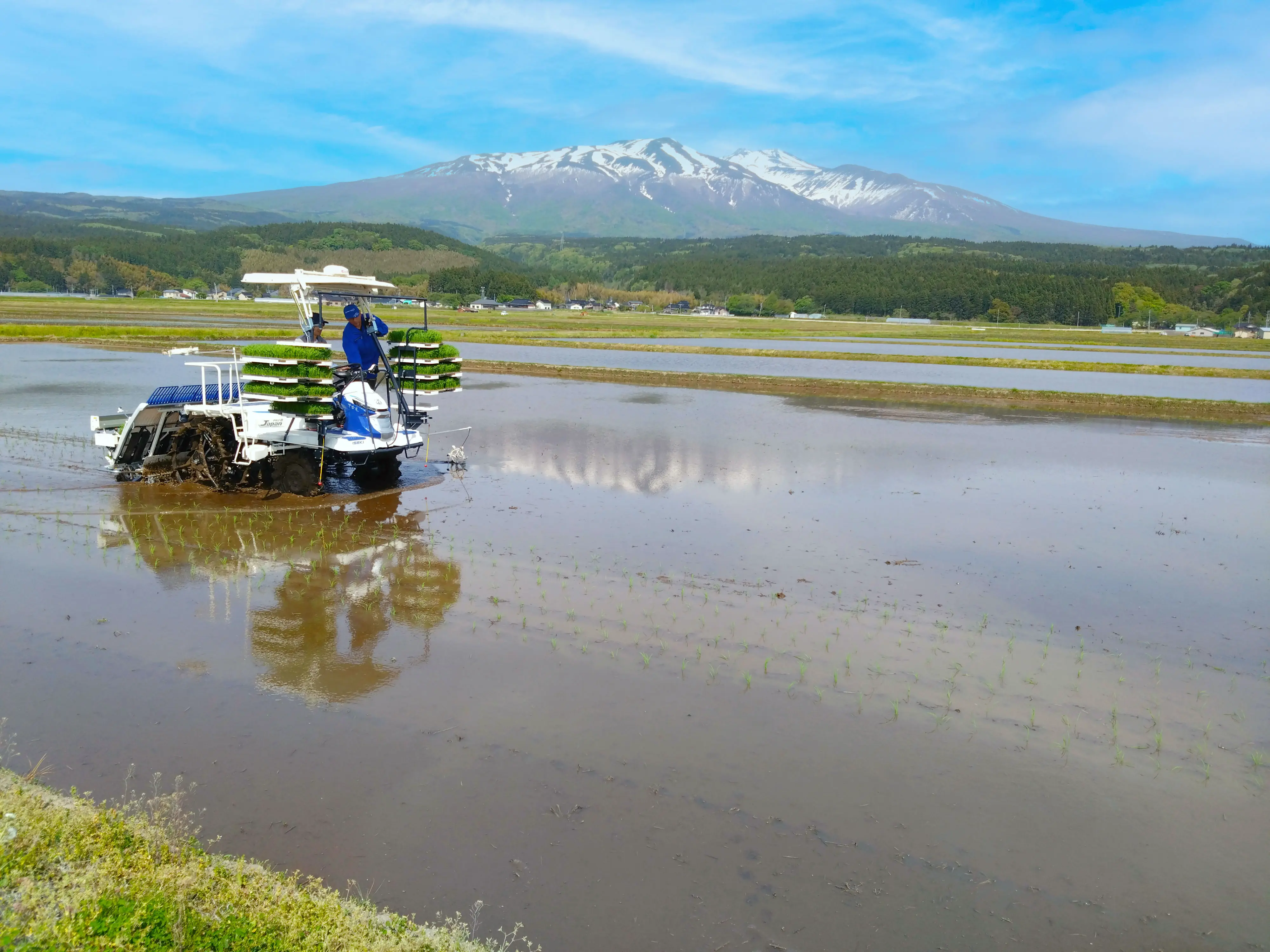 さとう農園の田植えの様子
