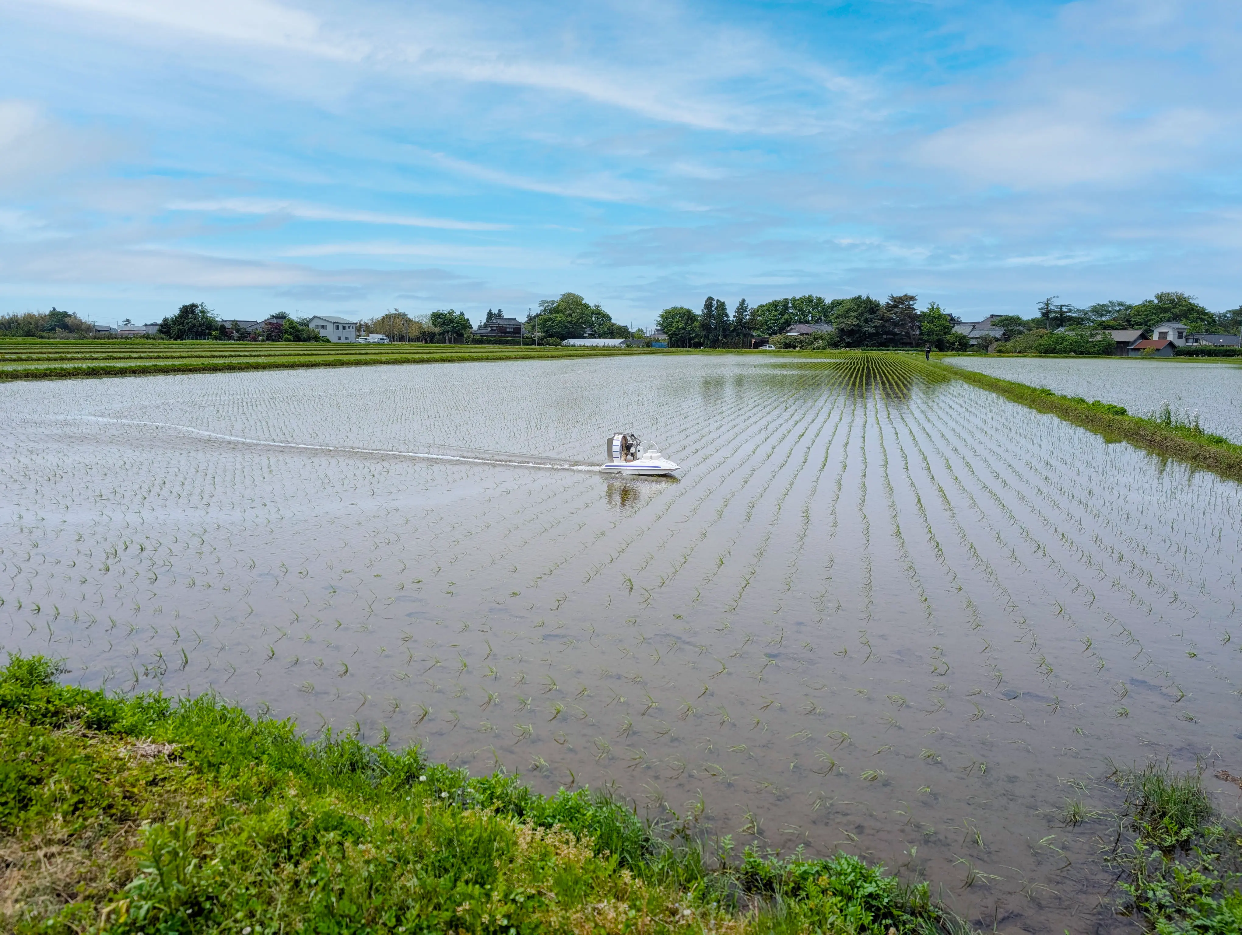 さとう農園の除草剤を散布している様子