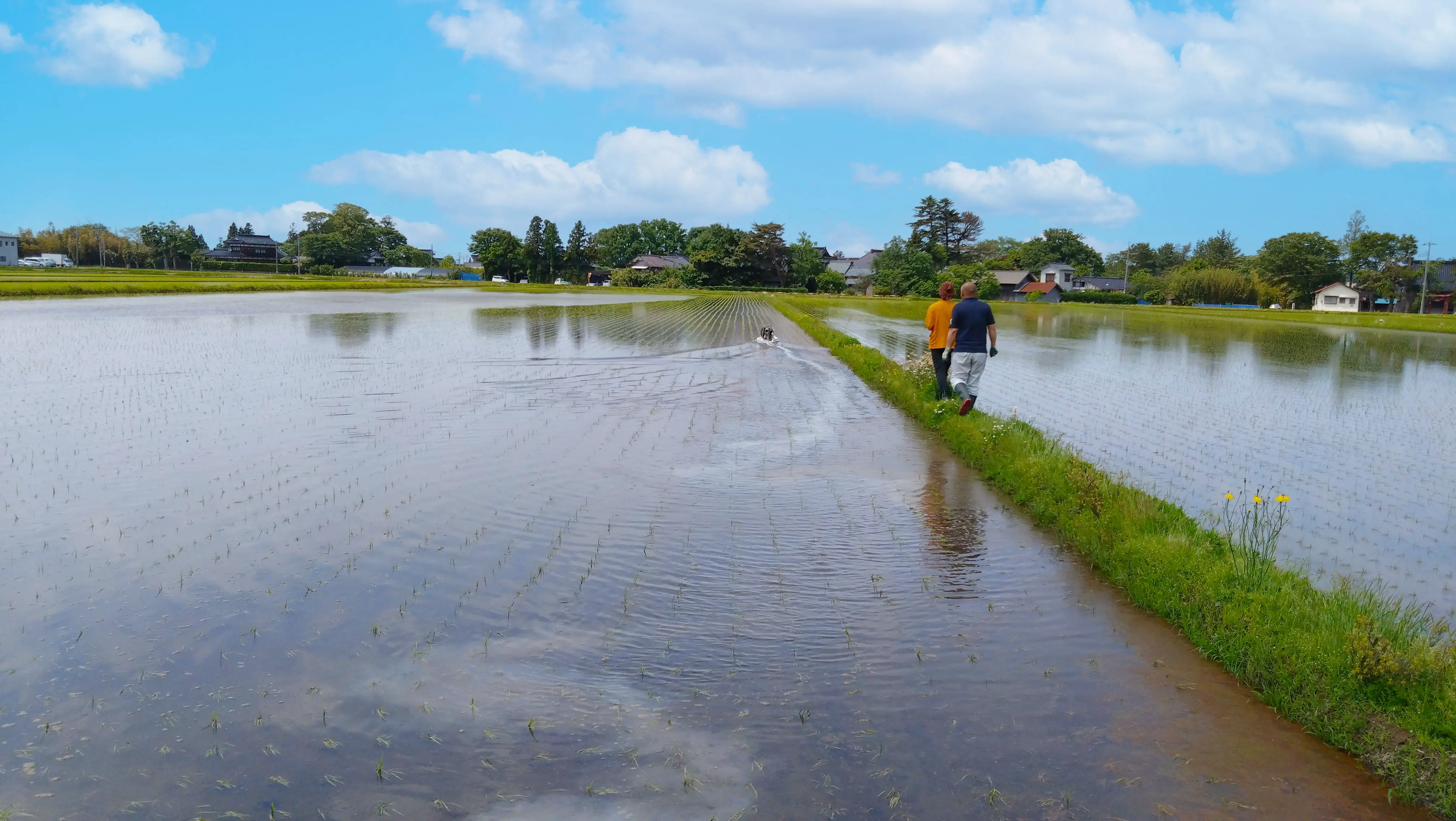 さとう農園での除草剤ボート散布の様子