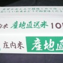 貴重な一品です 令和５年  山形県庄内産 ササニシキ 特別栽培米 さとうの米 精米10kg