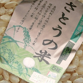 貴重な一品です 令和4年　 山形県庄内産 ササニシキ 特別栽培米 さとうの米 玄米3kg