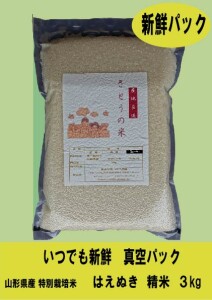 新鮮パック! 令和４年産 山形県庄内産 はえぬき 特別栽培米 さとうの米 精米３kg