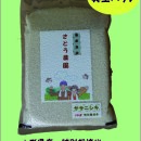 新鮮パック!!　令和５年  山形県庄内産 ササニシキ 特別栽培米 さとうの米 精米３kg
