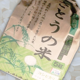 令和６年産 山形県庄内産　つや姫　特別栽培米 さとうの米 精米３kg